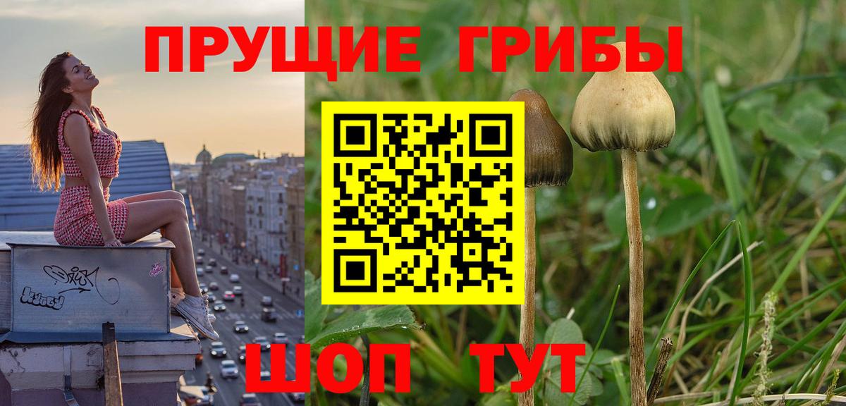Псилоцибиновые грибы ЛСД Усть-Илимск
