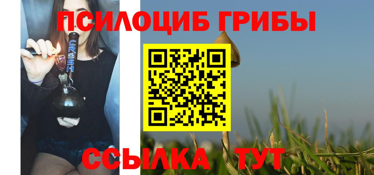Галлюциногенные грибы прущие грибы  Вход с VPN  Усть-Илимск 